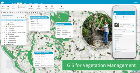 GIS For Vegetation Management | GIS Cloud