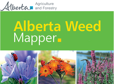 Alberta Township Weed Mapper